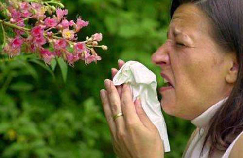 Ƥ������֢״ͼƬ ����Ԥ������Ƥ������